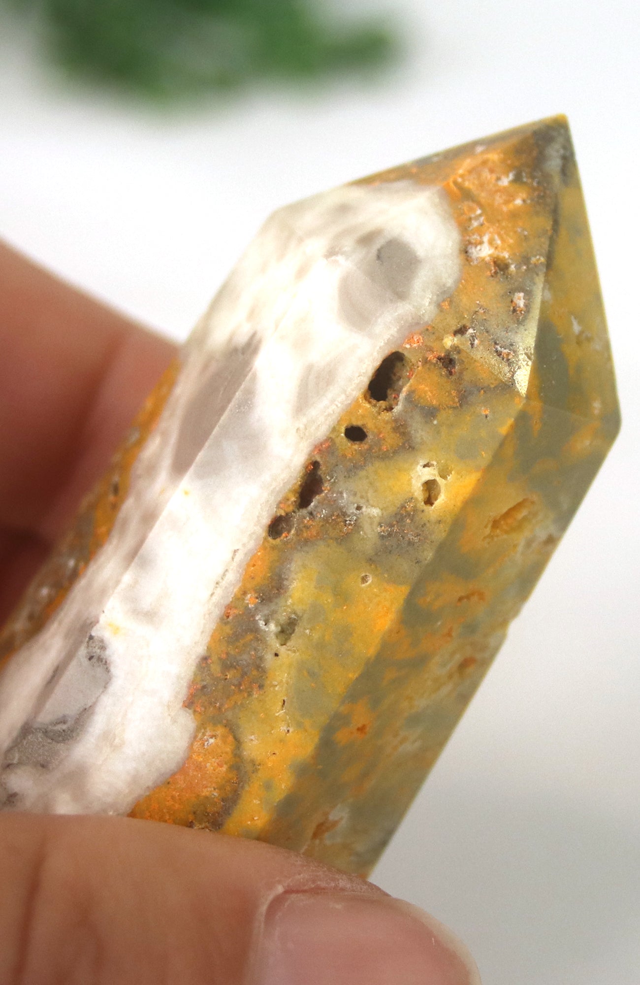 Bumble Bee Jasper Generator